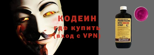 индика Балахна
