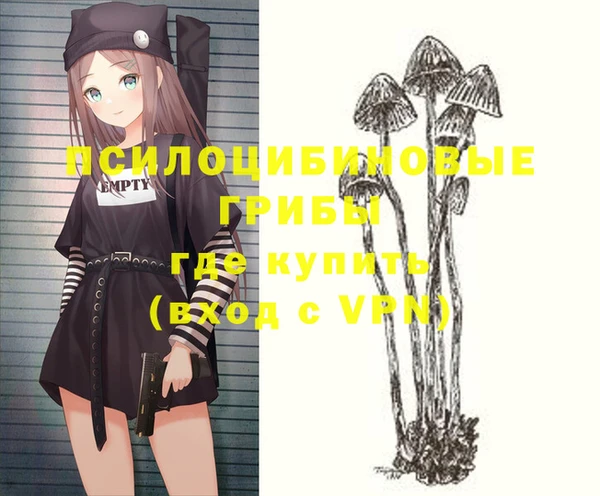 индика Балахна