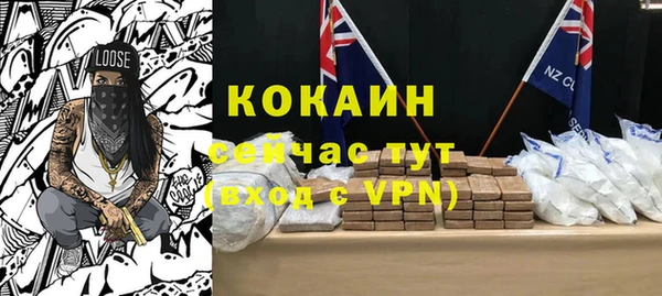 индика Балахна