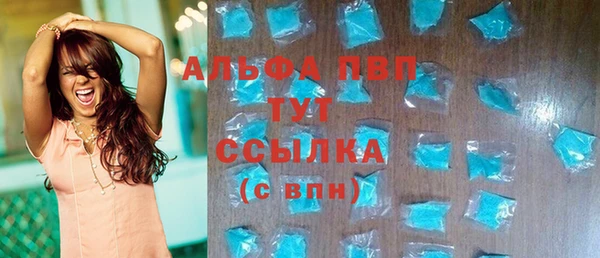 индика Балахна