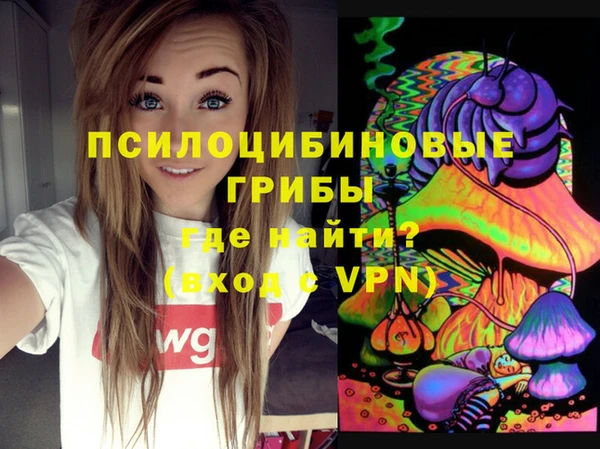 индика Балахна