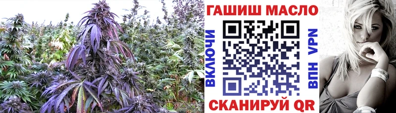 Дистиллят ТГК концентрат что такое МЕГА зеркало Лесной